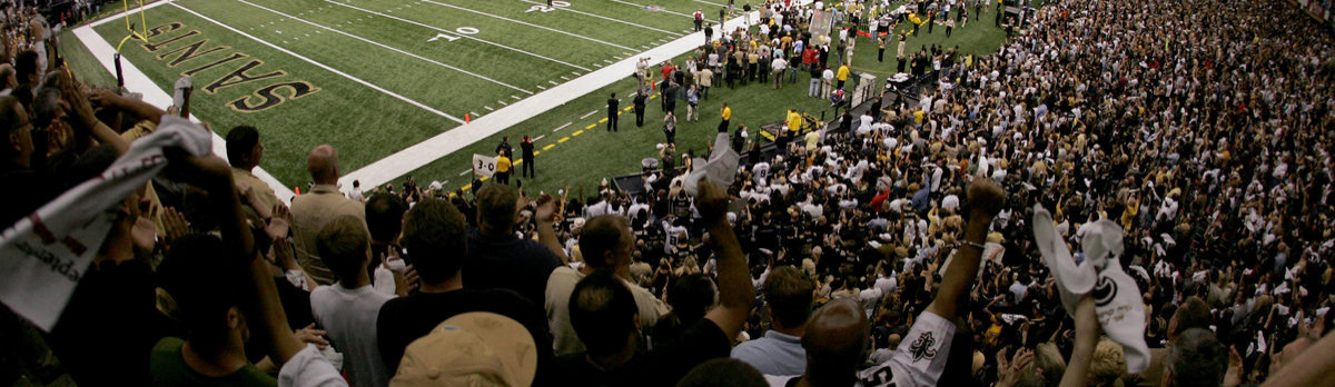 Fans in the Superdome